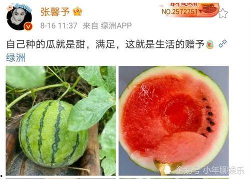 最近最火的娱乐圈吃瓜,揭秘明星背后的惊人真相！