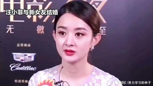 娱乐吃瓜八卦赵丽颖,娱乐圈的甜蜜瓜果，甜蜜背后的辛酸历程