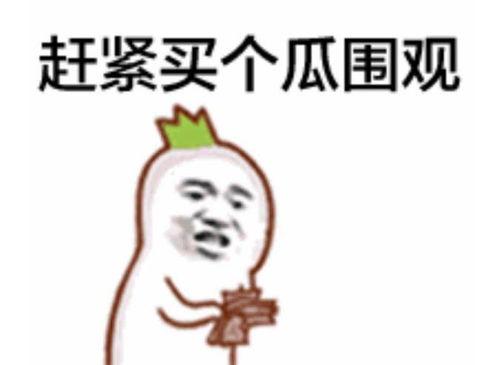 娱乐八卦吃瓜图片表情包大全,笑翻朋友圈！娱乐八卦吃瓜表情包大盘点