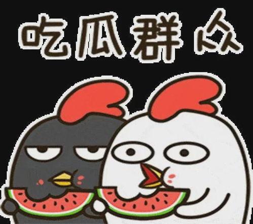 逗尔娱乐吃瓜看点在哪里,揭秘娱乐圈幕后故事