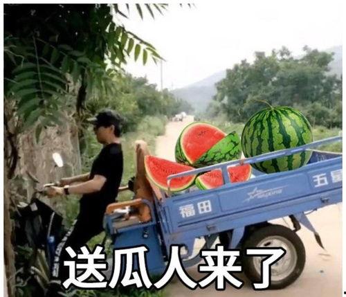 7月3日娱乐圈吃瓜,瓜田李下，明星动态大揭秘