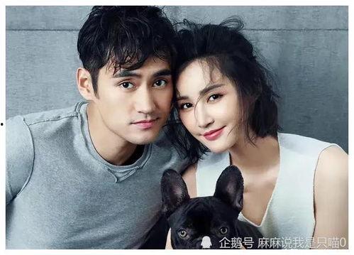 娱乐圈吃瓜爆料哇唧唧哇,哇唧唧哇内部风云再起，吃瓜群众纷纷围观