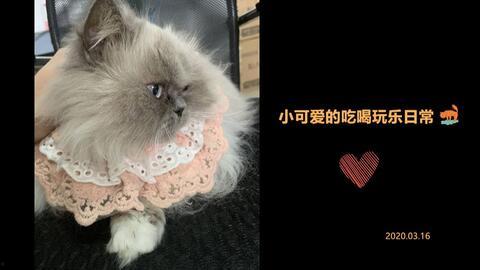 娱乐吃瓜小可爱是谁啊,网络红人的崛起与影响力