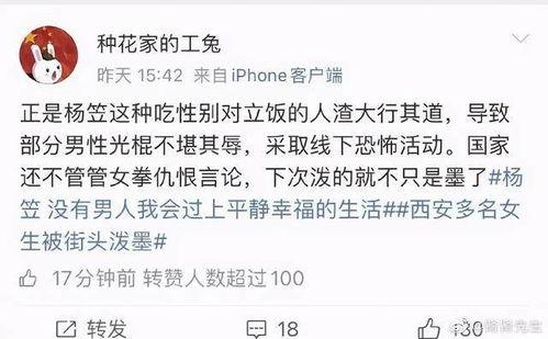 娱乐圈搞笑吃瓜小说在线阅读,笑料百出，瓜田里的欢乐盛宴