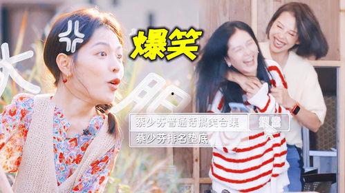 娱乐圈搞笑吃瓜小说在线阅读,笑料百出，瓜田里的欢乐盛宴