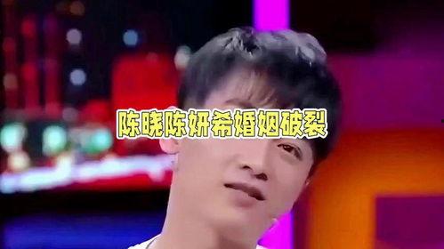 娱乐圈吃瓜情报局陈晓,娱乐圈的“神雕侠侣”婚姻破裂之谜