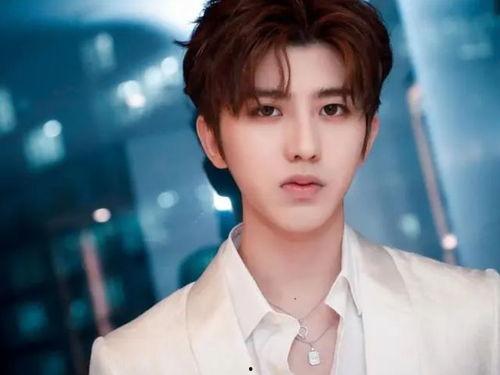 吃瓜娱乐八卦蔡徐坤图片,真相与谣言的交织”