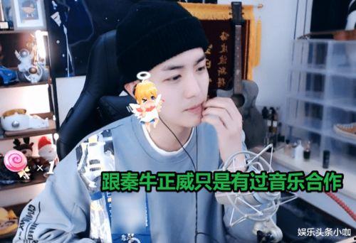娱乐圈吃瓜四小花是什么,揭秘当红小花旦们的崛起之路