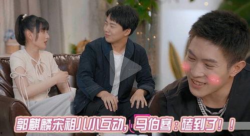 娱乐圈吃瓜诈骗一哥小说,揭秘娱乐圈背后的秘密与骗局
