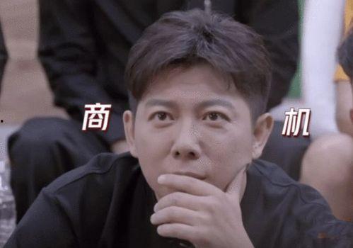 娱乐圈吃瓜诈骗一哥小说,揭秘娱乐圈背后的秘密与骗局