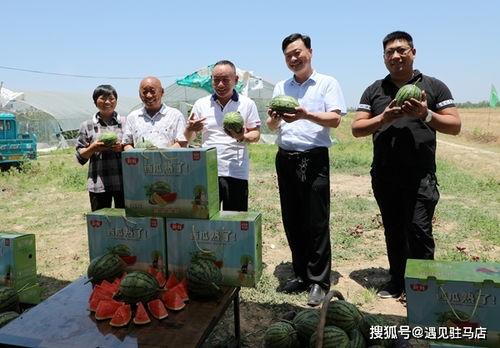 娱乐吃瓜小八哥是谁啊小说,小说中的神秘角色背后的故事