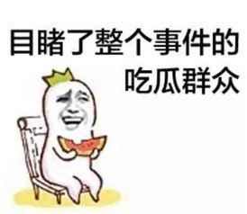 沙雕动画吃瓜系统娱乐圈,吃瓜系统带你畅游娱乐圈