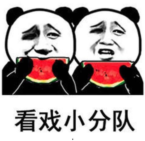娱乐圈的瓜吃的太多了,揭秘过度追星背后的真相