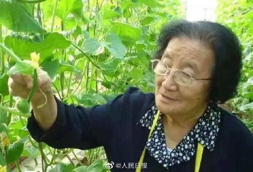 游戏发行人娱乐圈吃瓜,合成大西瓜如何一夜爆红？
