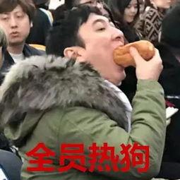 娱乐八卦吃瓜图片表情包,娱乐八卦吃瓜表情包大集合