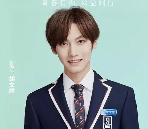 娱乐吃瓜姐妹胡文煊是谁,揭秘胡文煊的星途与争议