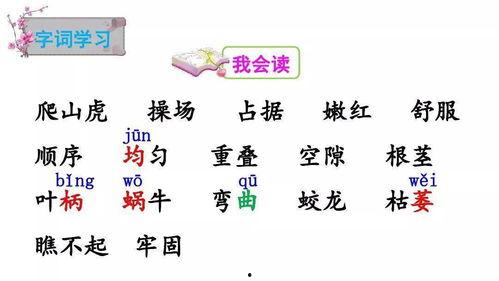 娱乐吃瓜四字成语大全及解释,趣味横生的四字成语大盘点